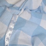 Blue & White Checked Baby Blanket