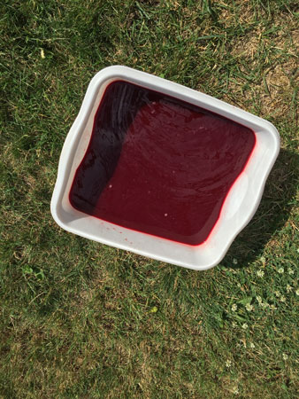 red dye mixed
