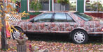 camouflage car