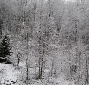 snow on the hillside