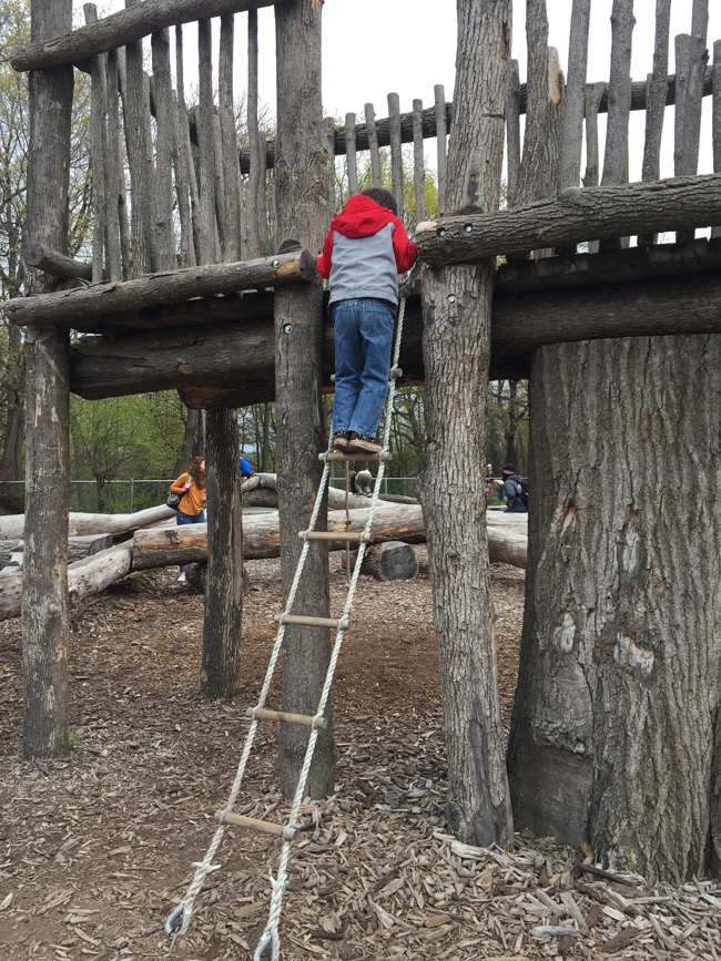 zoo climbing area