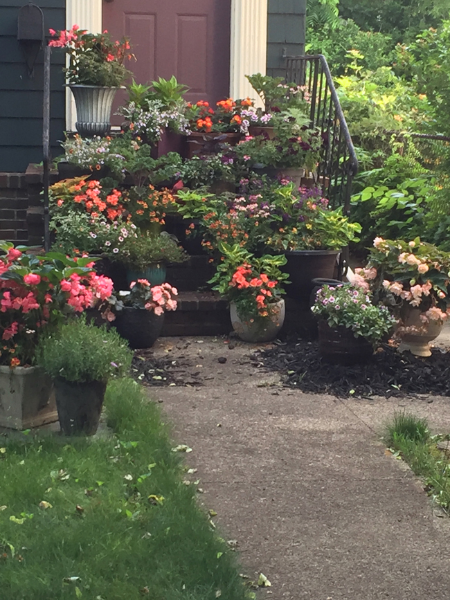 beautiful steps with plants