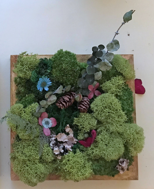 my moss wall art