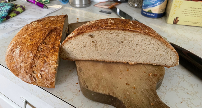 GF sourdough #1 & #2