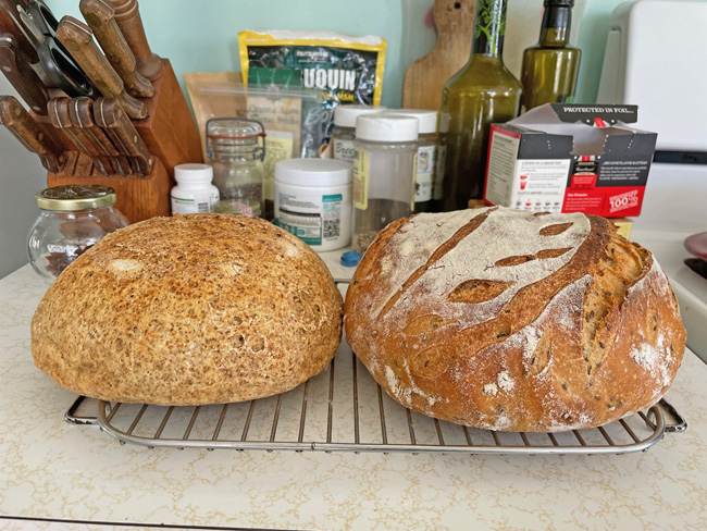 GF & non-GF sourdough