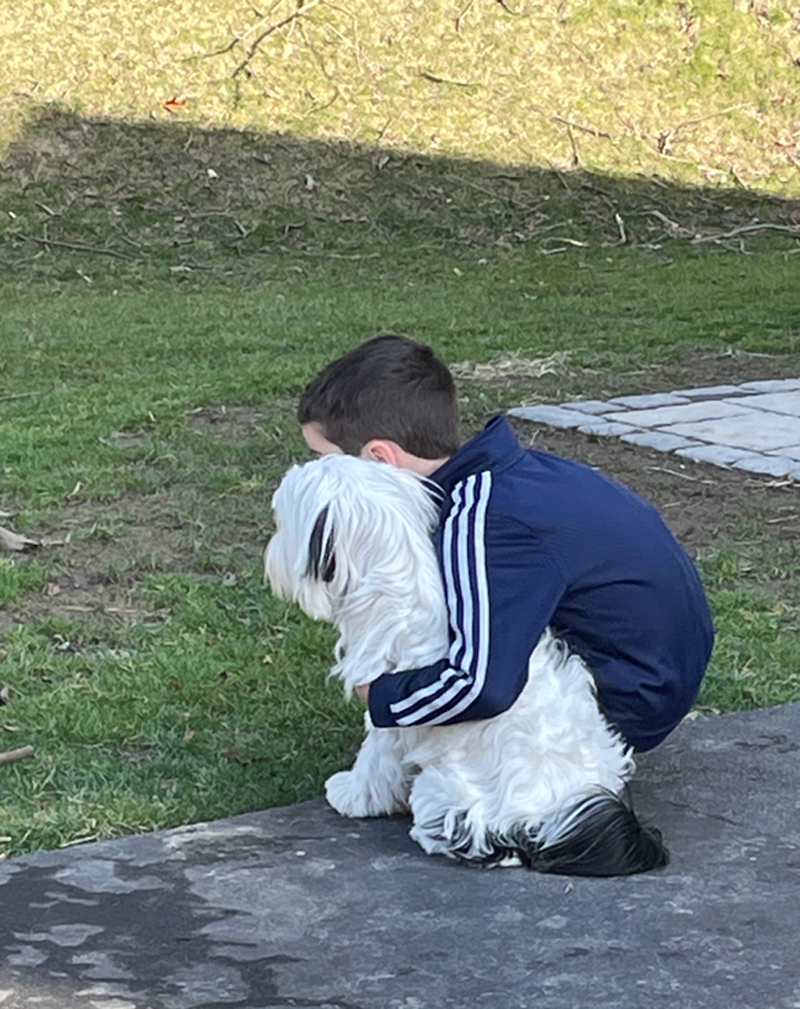 a boy and his dog